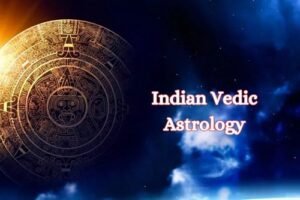 indian institute of vedic astrology​
