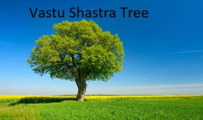 vastu shastra tree