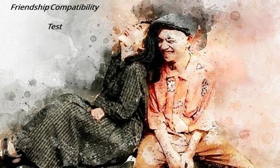 Friendship Compatibility Test